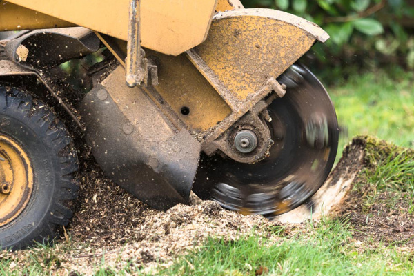 Stump Grinding Stump Grinding